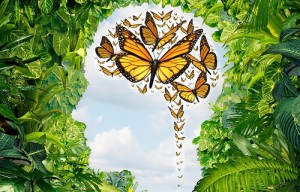 brainbutterflies_1.558
