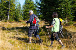 Walking Your Way to a Better Life