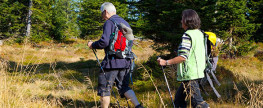Walking Your Way to a Better Life