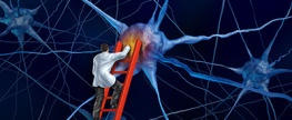 Parkinson’s Disease: Videos, Internet, and Other Resources